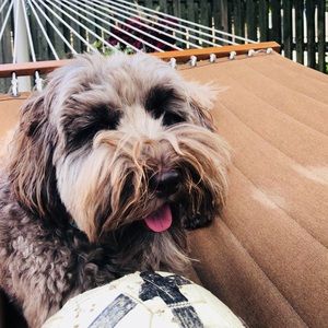 Meet your Posher, Margo